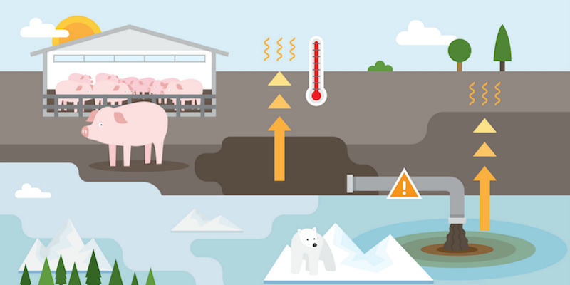 Sustainable Future Curriculum Infographic