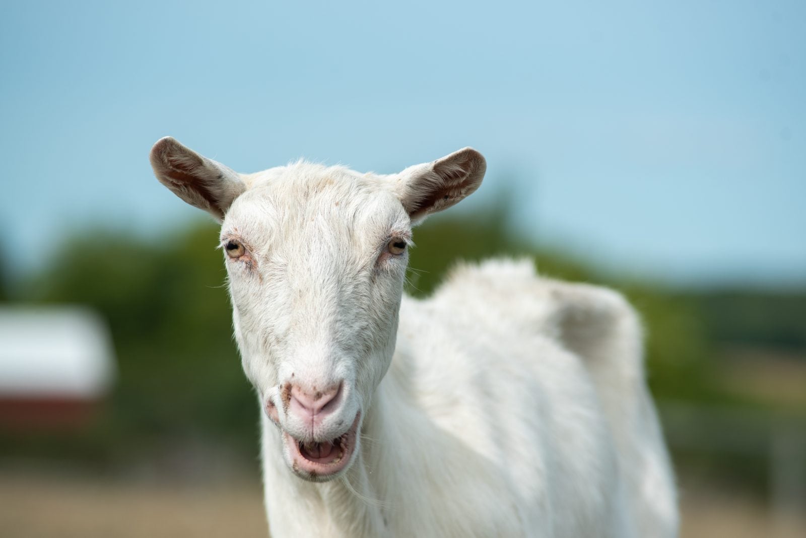 Gallery photo slide 2