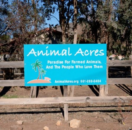 Sign at Animal Acres Property Sign at Animal Acres Property