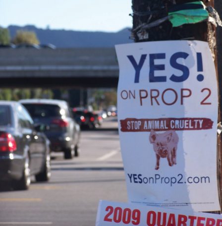 Yes on Prop 2 Sign on side of road Yes on Prop 2 Sign on side of road
