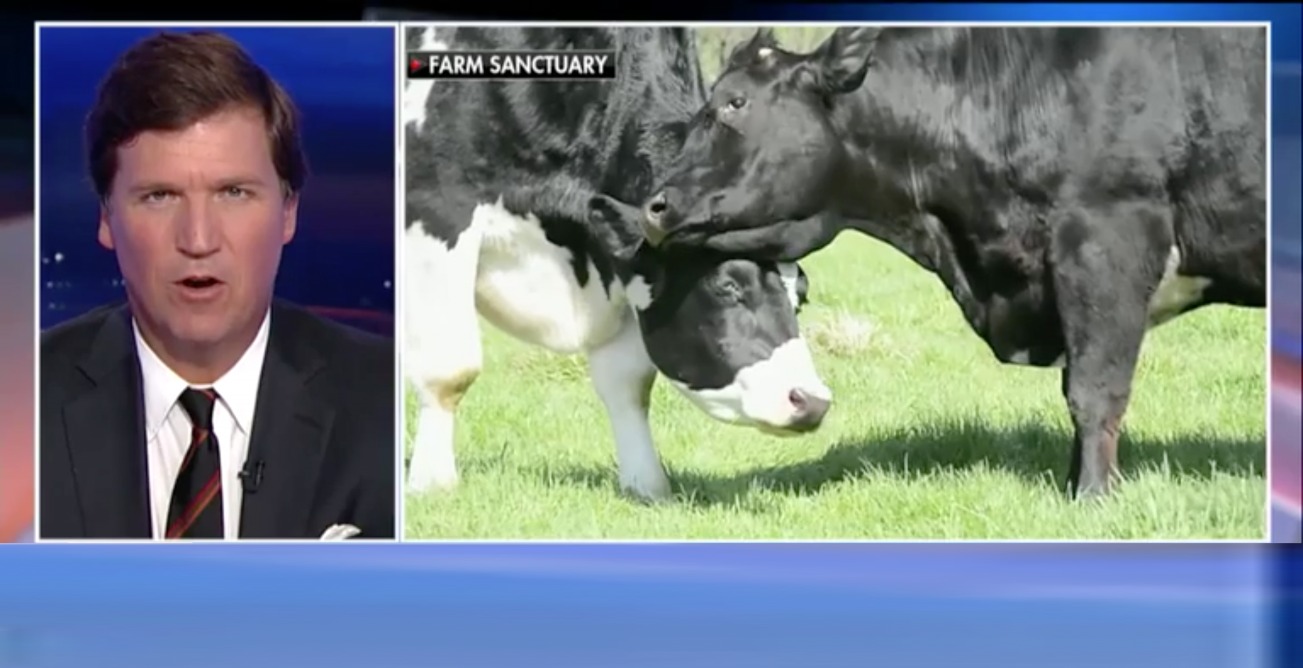 Tucker Carlson Tucker Carlson