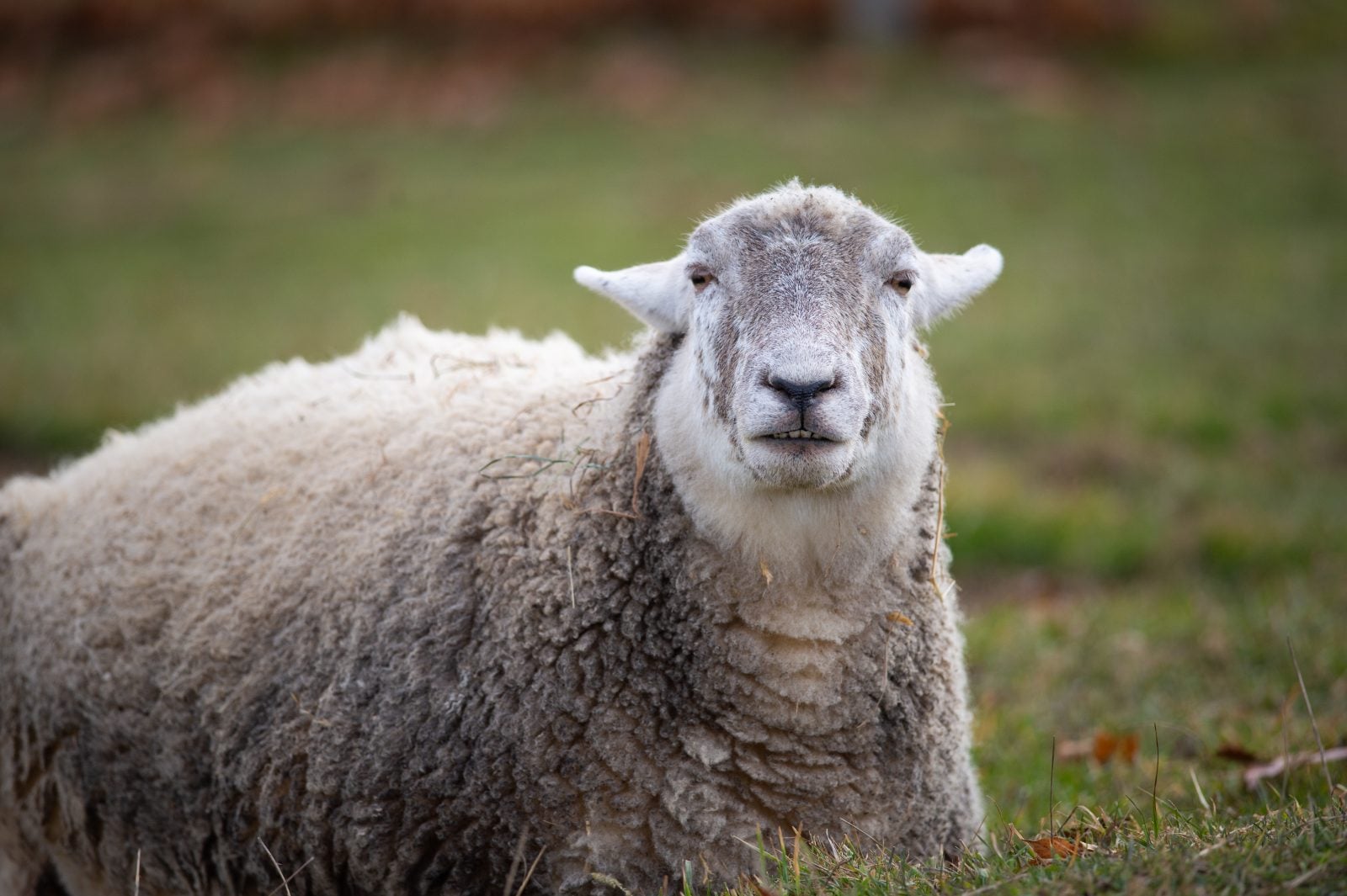 Gallery photo slide 1