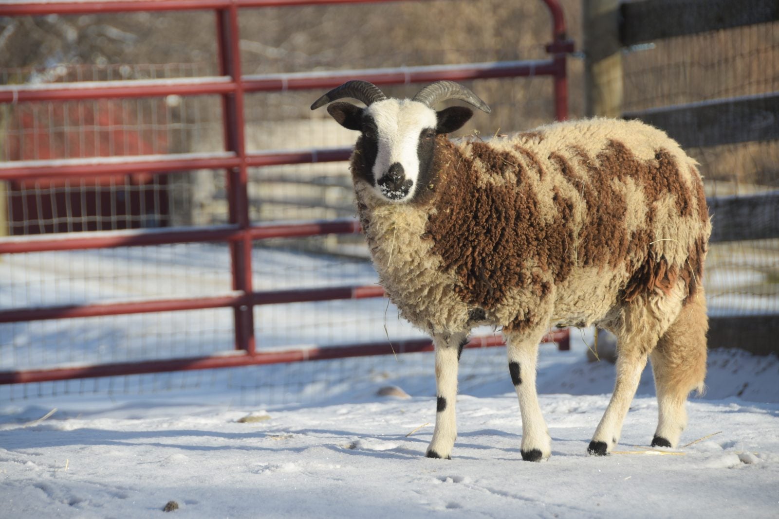 Gallery photo slide 1