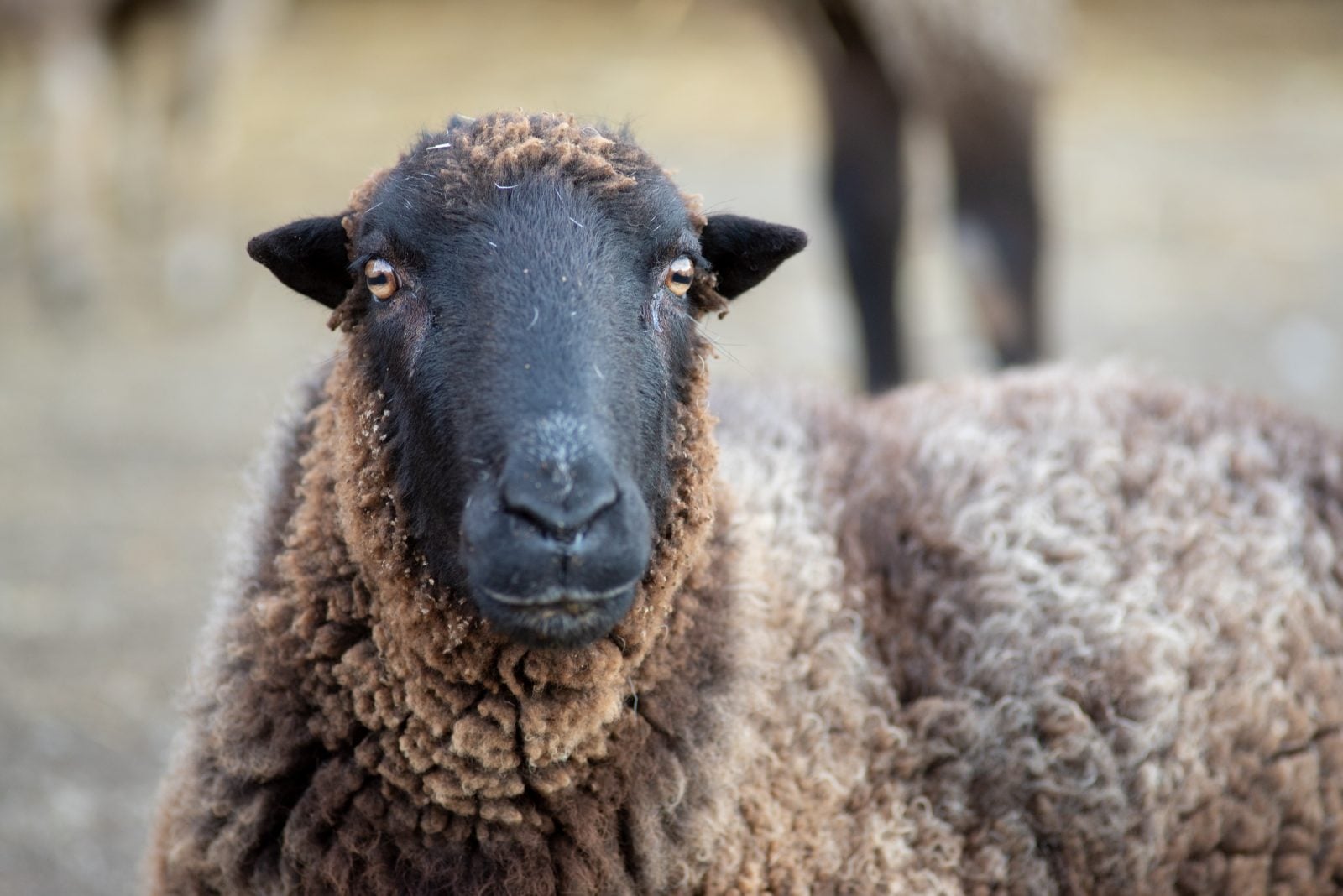 Gallery photo slide 1