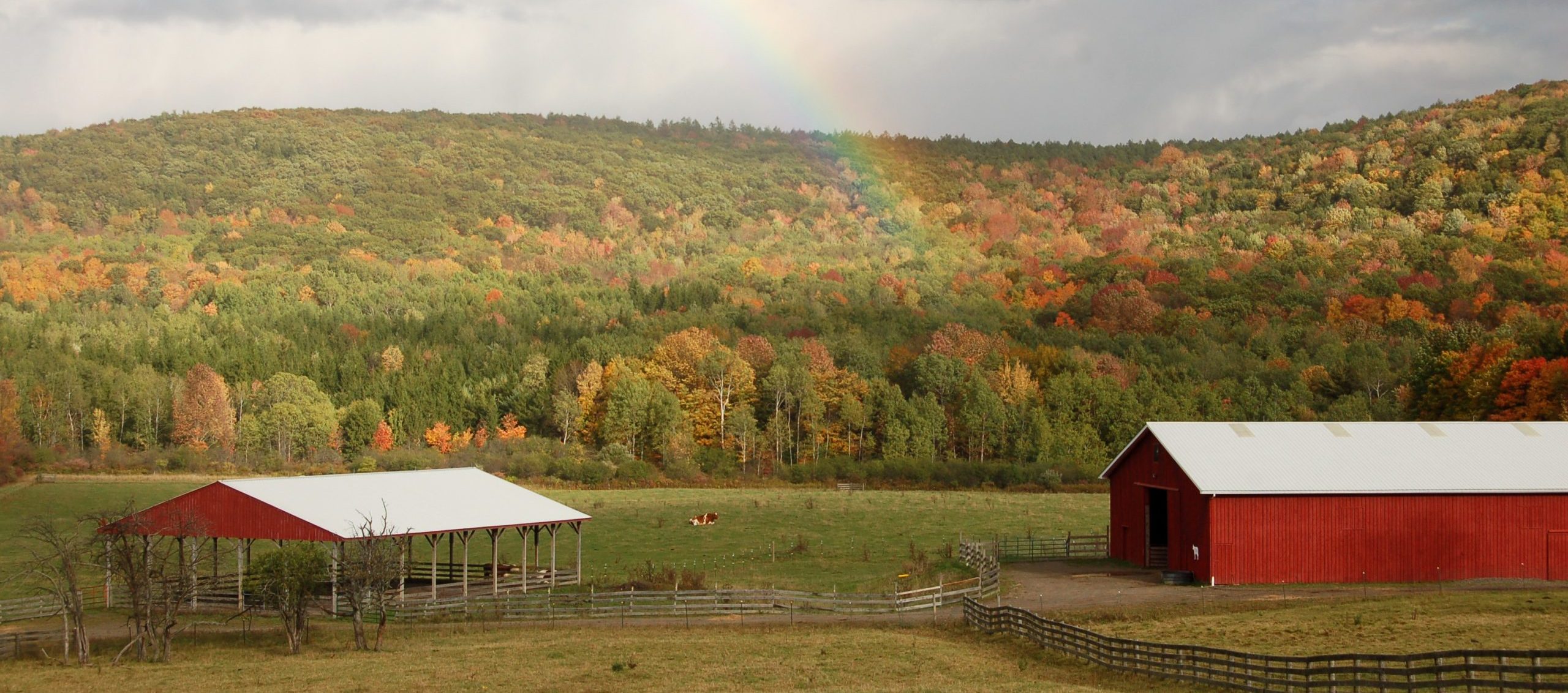 Warmth and gratitude on National Intern Day - Farm Sanctuary