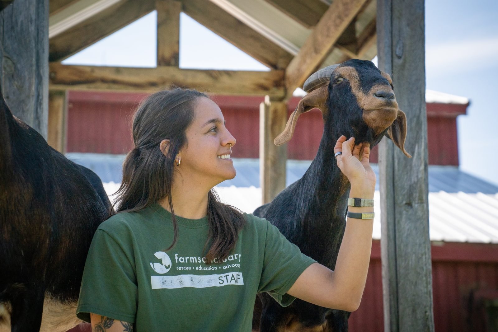 Farm Sanctuary staff Emily Grizzell pets rescued goat Maggie