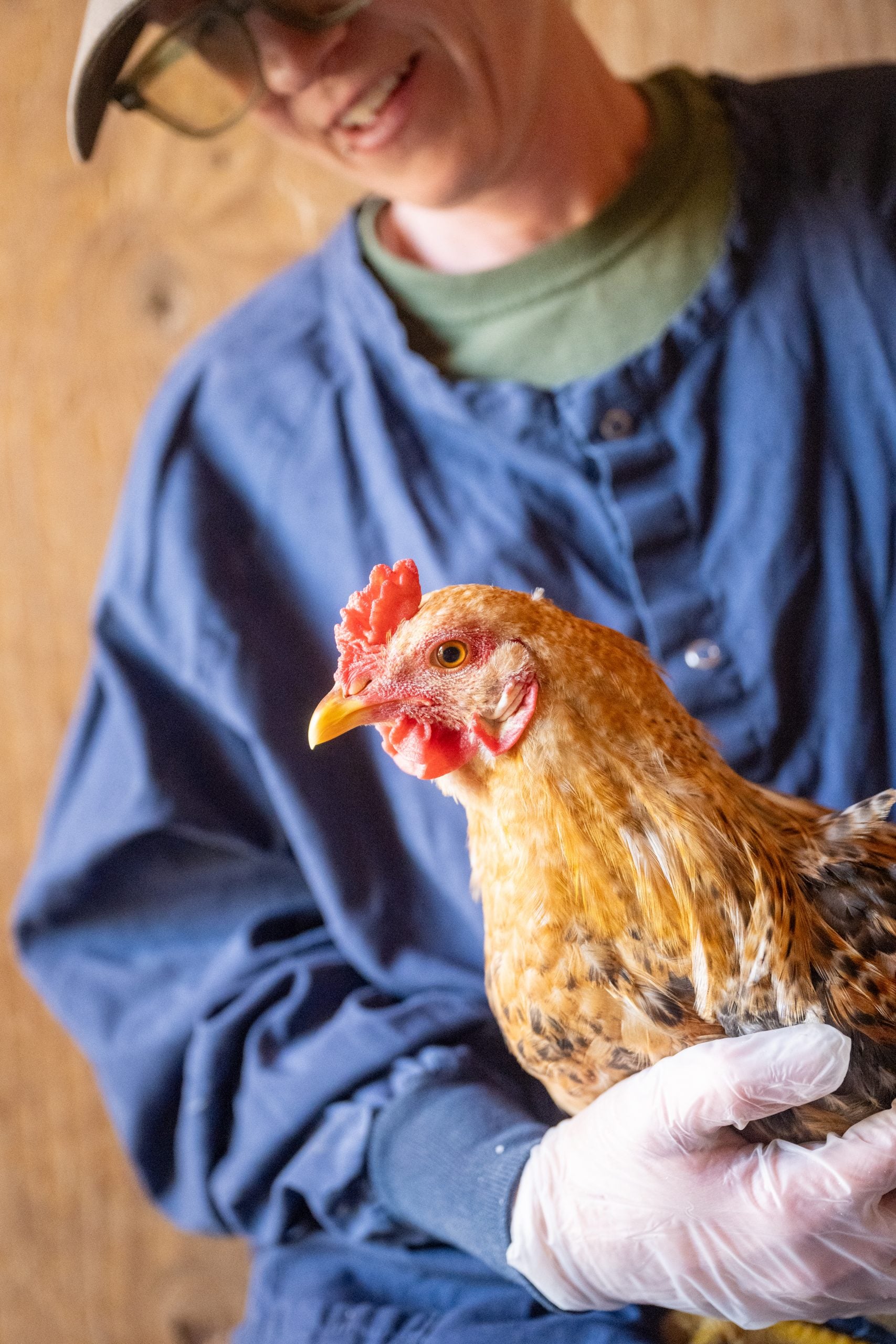 Farm Sanctuary Senior Wellness Manager, Brooke Marshall, smiles down at rescued rooster Wooster