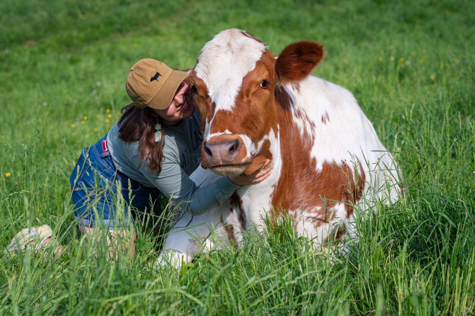 Farm Sanctuary caregiver hugs rescued steer in pasture at Farm Sanctuary NY Farm Sanctuary caregiver hugs rescued steer in pasture at Farm Sanctuary NY