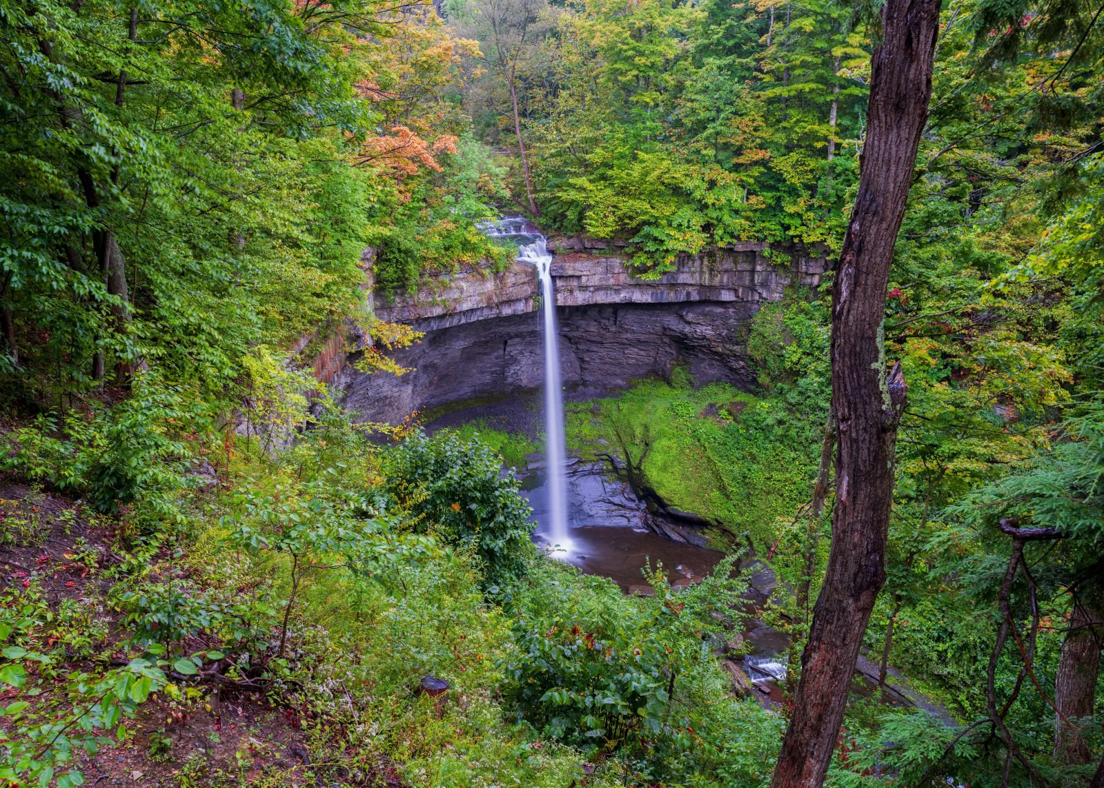 Carpenter Falls surrounded by foliage in New York's Finger Lakes region Carpenter Falls surrounded by foliage in New York's Finger Lakes region