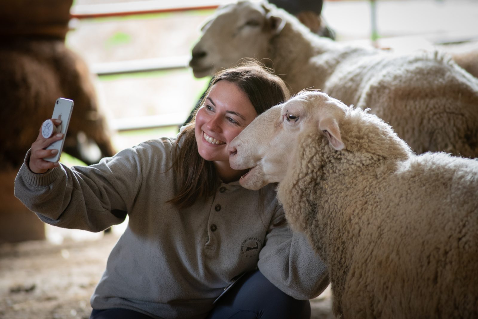 Smiling Farm Sanctuary guest takes selfie with rescued sheep Tracey