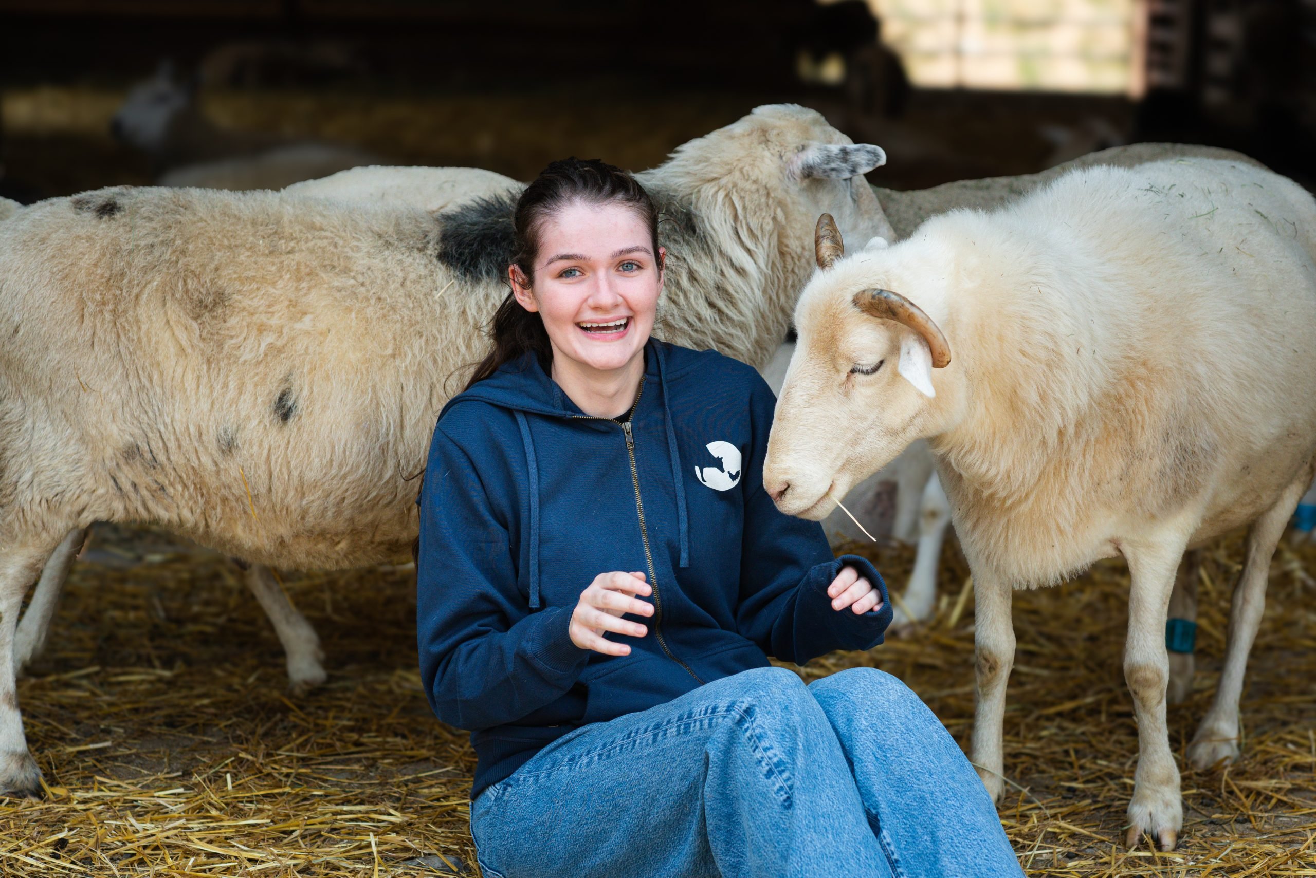 Farm Sanctuary intern, Claire with rescued sheep