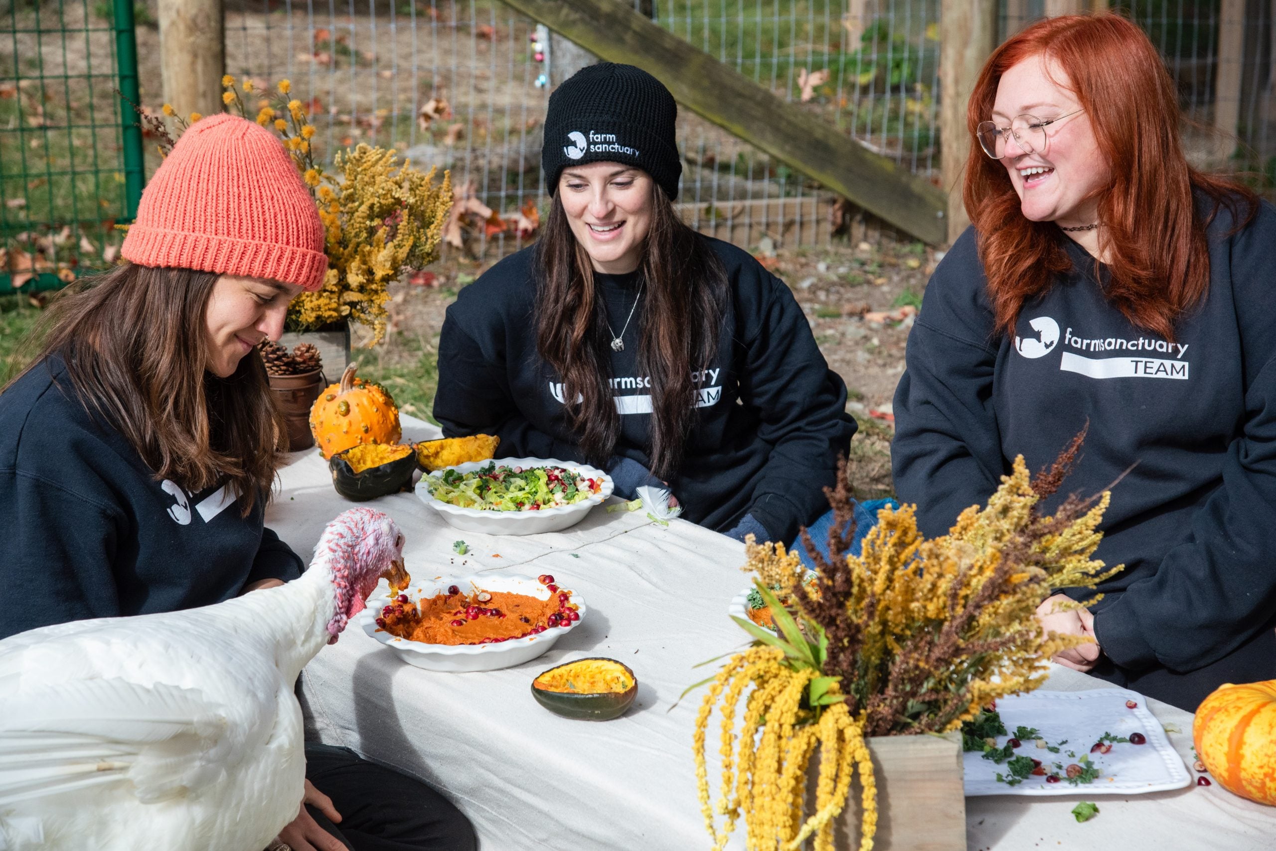Farm Sanctuary caregivers watch rescued turkeys enjoying a feast of seasonal produce