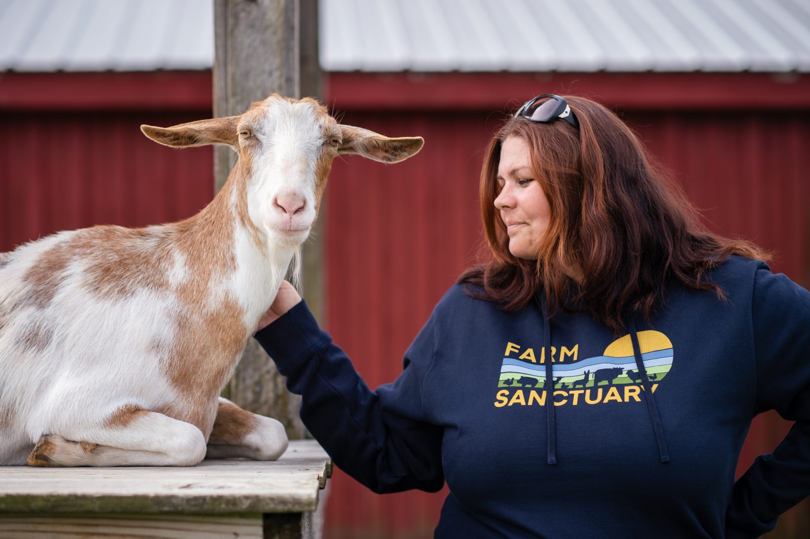 Rescued goat and Farm Sanctuary staff member Sarah Rappleye