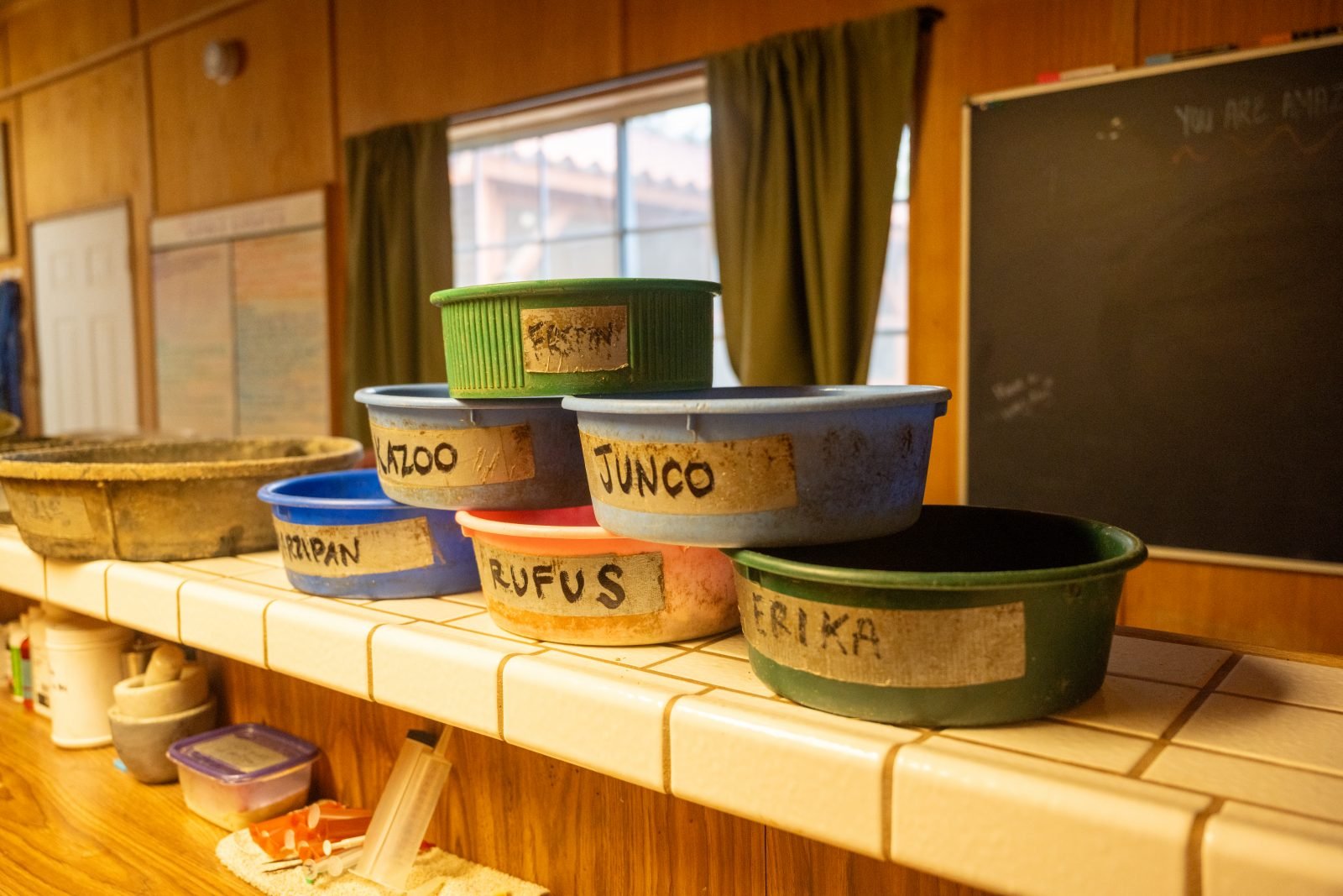 Stacked food bowls have labels with the names of rescued animals at Farm Sanctuary. Visible are Junco, Rufus, and Erika.