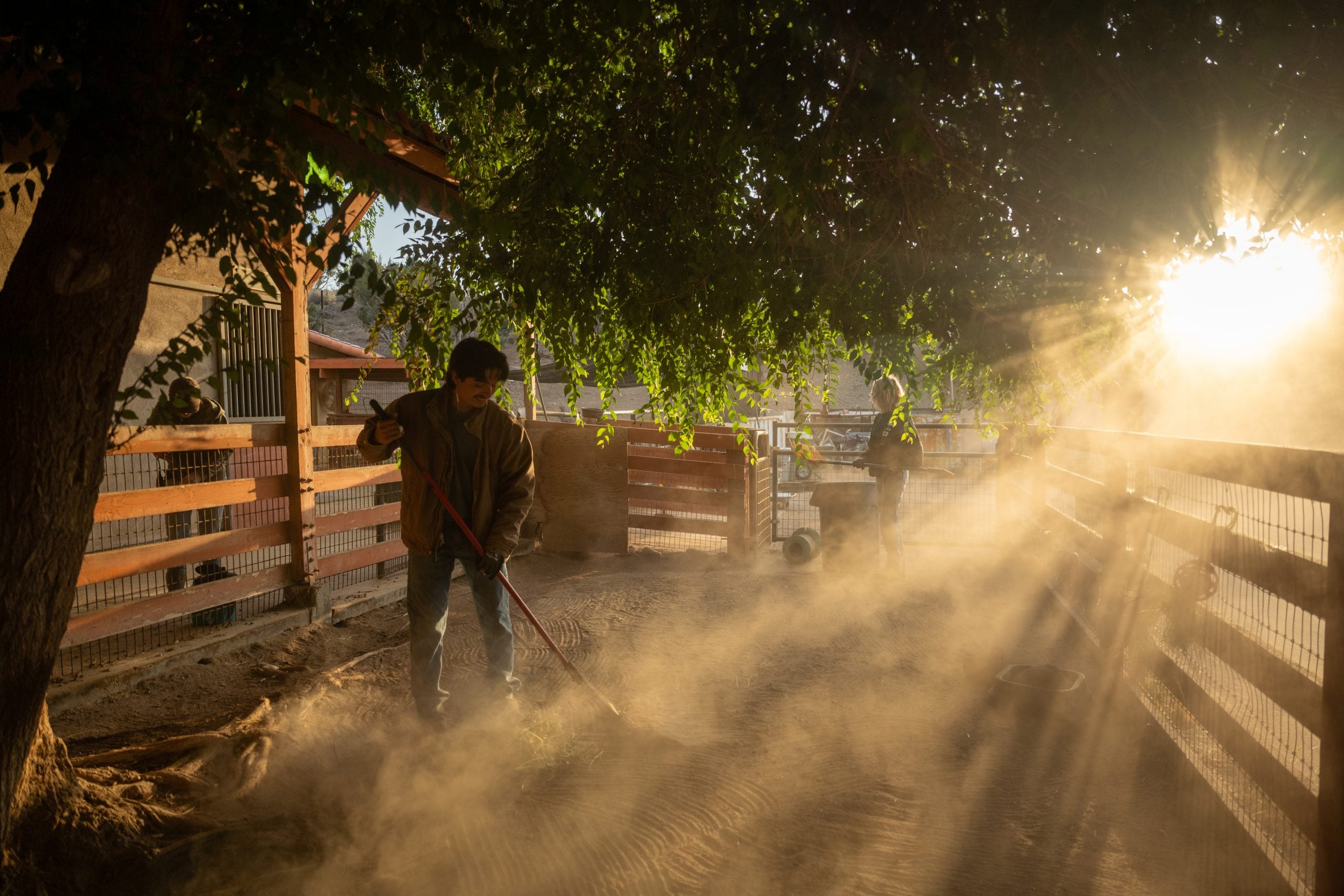 Staff sweeping pasture at Farm Sanctuary Ca