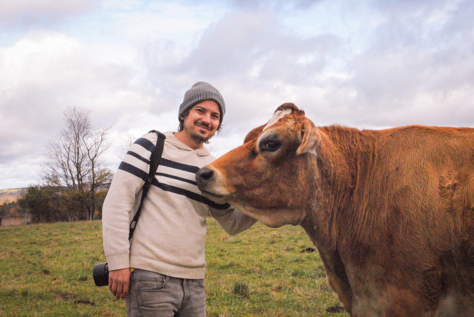 Staff Luke Hess with rescued cow at Farm Sanctuary