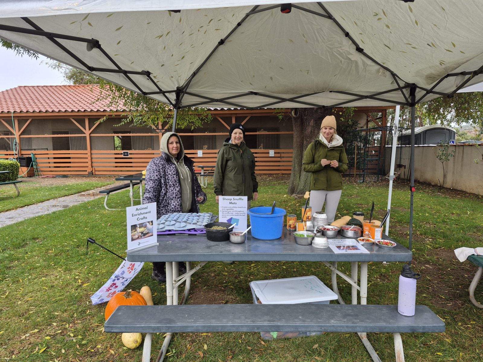 Gallery photo slide 3