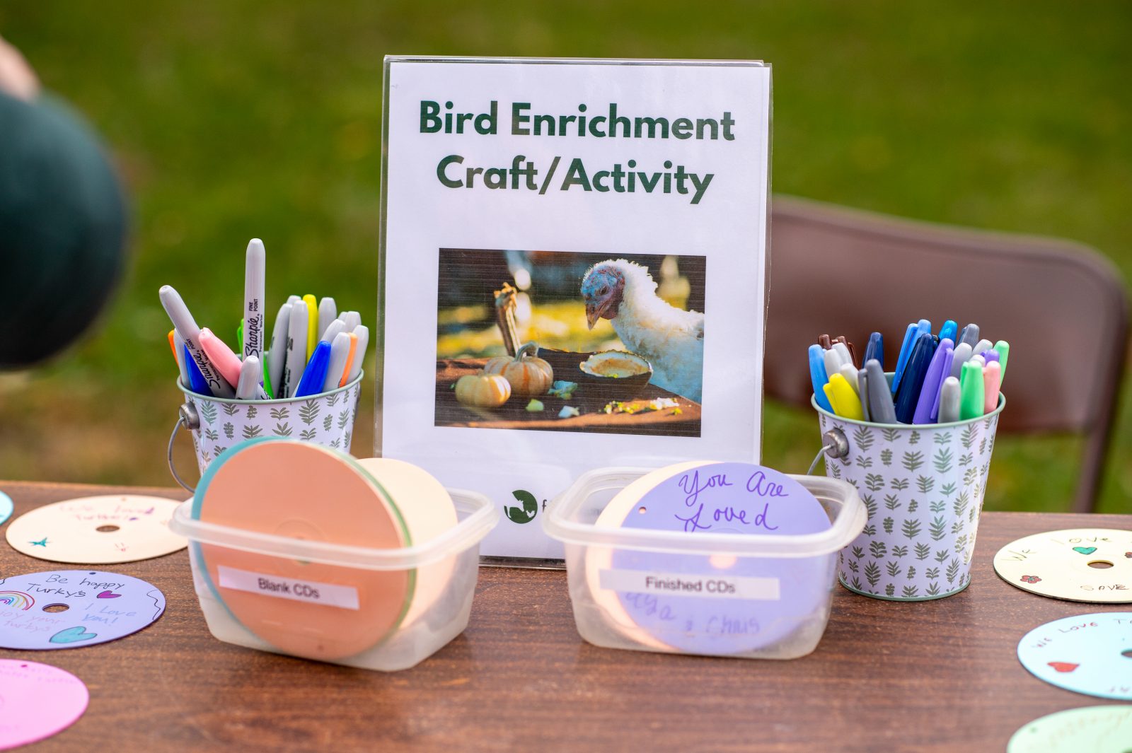 Gallery photo slide 4