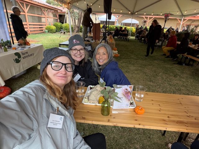 Gallery photo slide 5