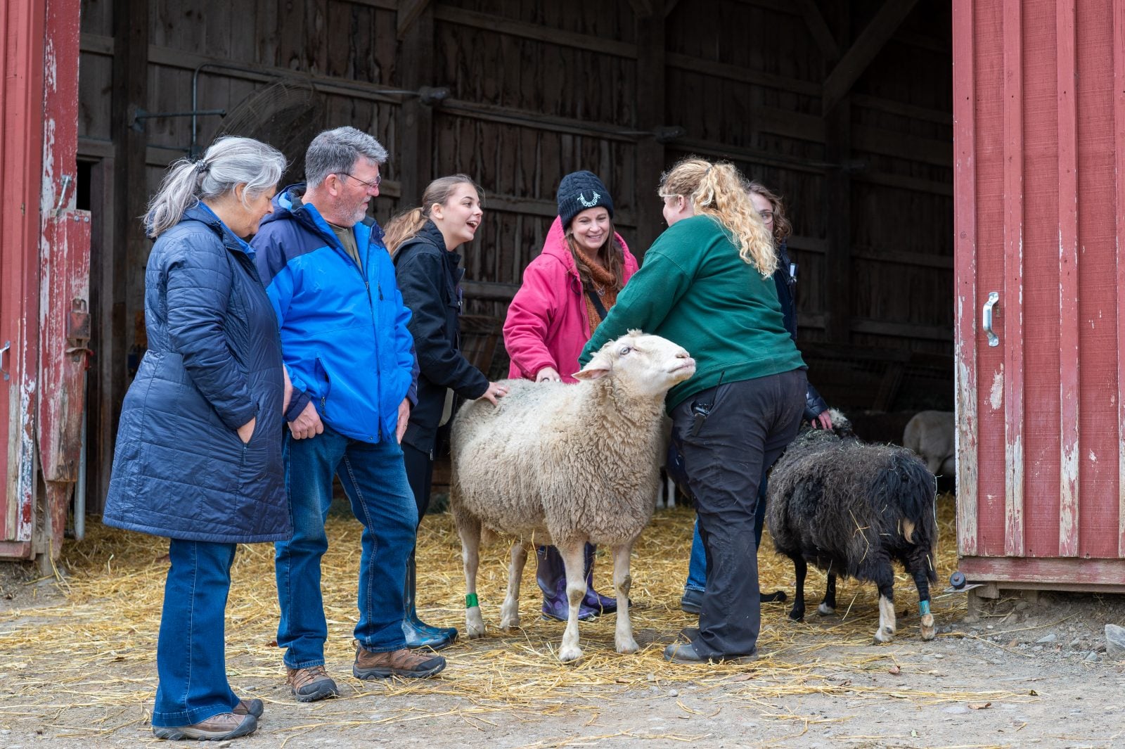 Gallery photo slide 6