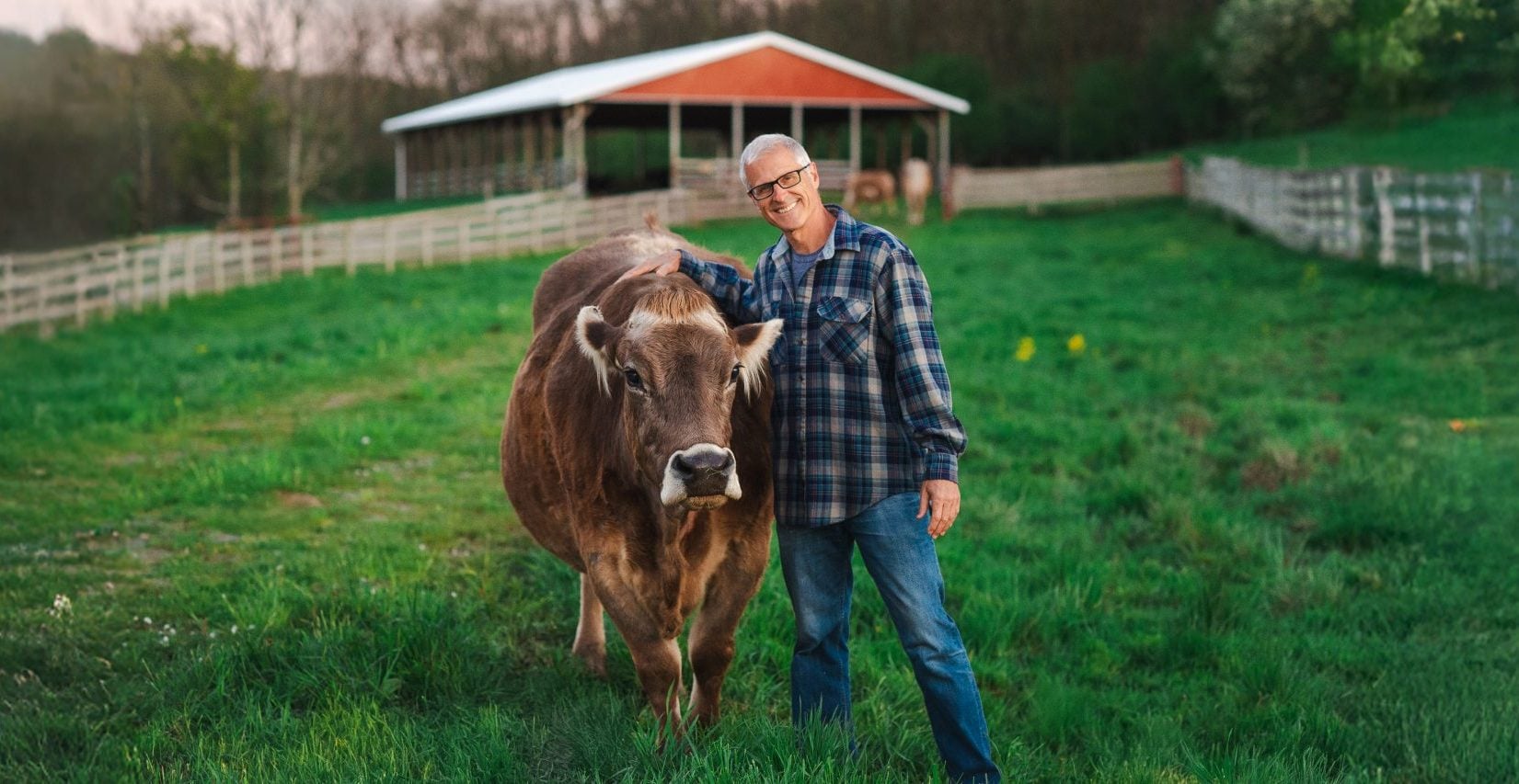 Rescued goat Hercules stands in pasture at Farm Sanctuary in front of red barns and fall foliage