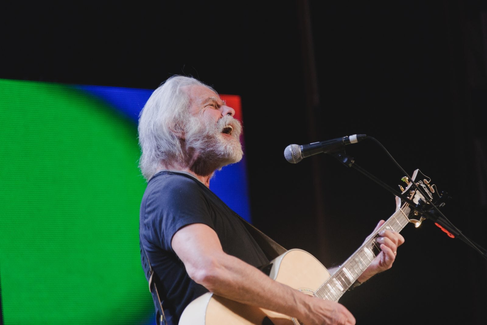 Bob Weir