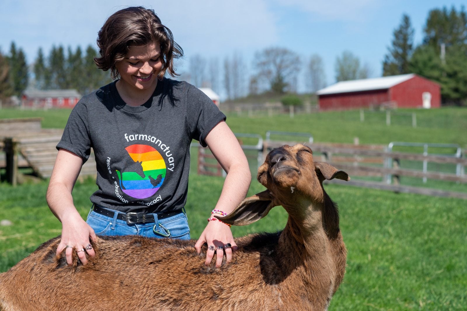 Staff member Alice pets rescued goat Halbert in pasture while wearing rainbow Farm Sanctuary logo shirt