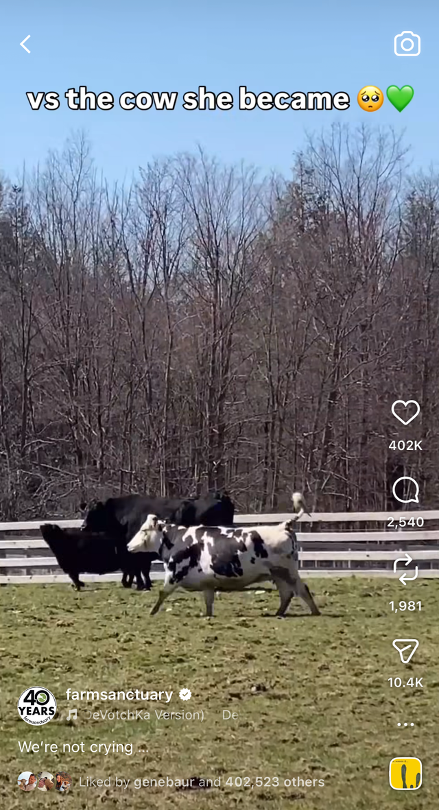 Farm Sanctuary Instagram Farm Sanctuary Instagram