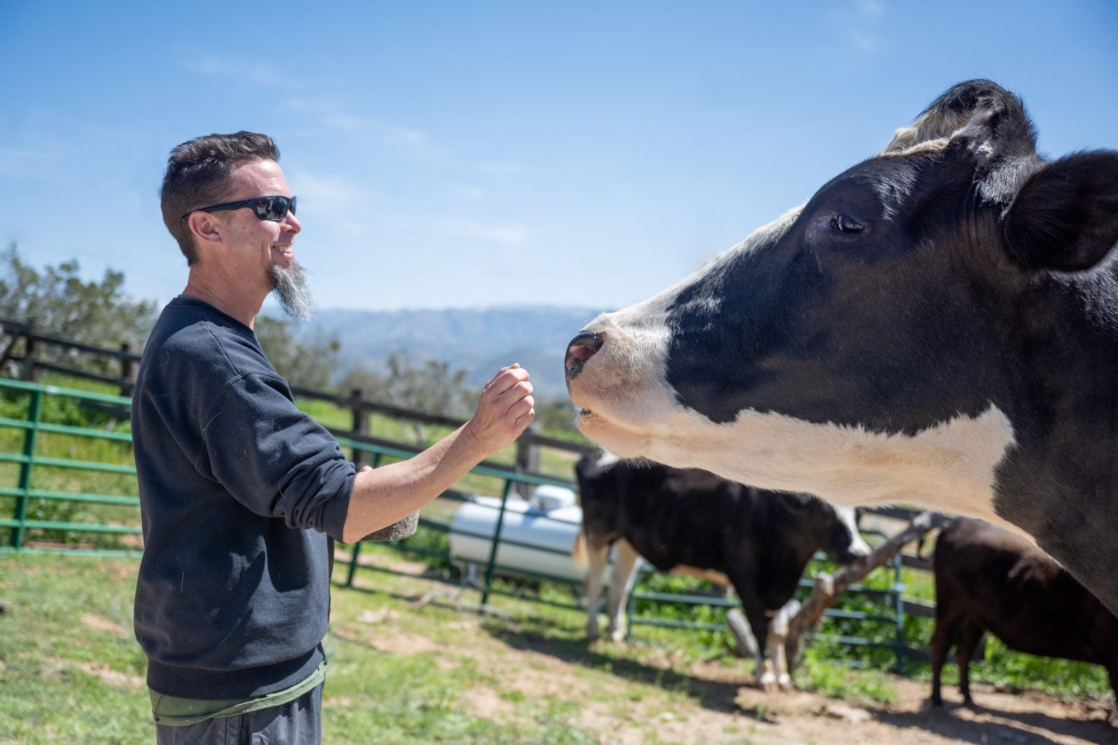 Nine Reasons to Take a Guided Tour of Farm Sanctuary