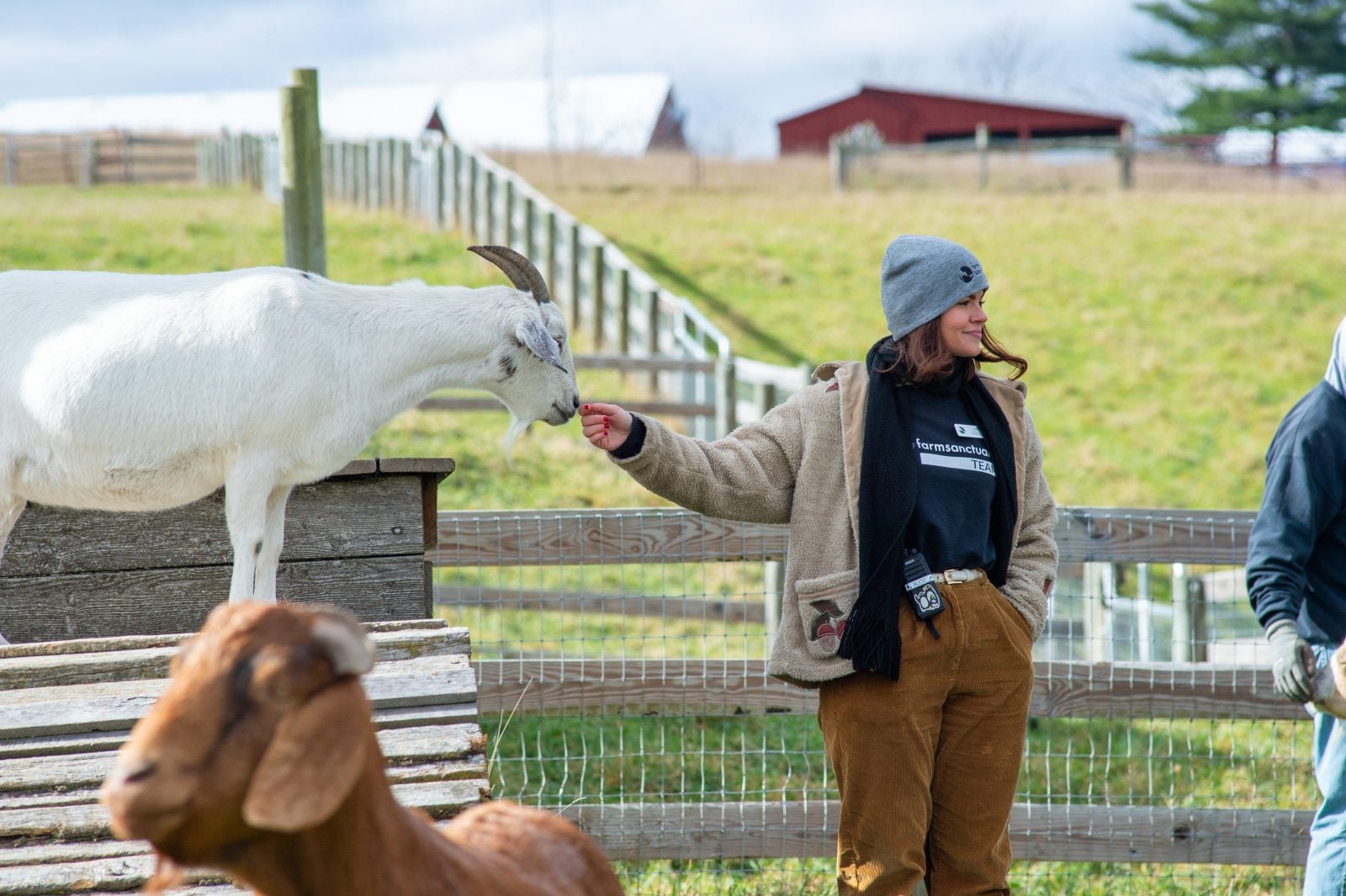 Tour guide Alice smiles at guests while petting rescued goat at Farm Sanctuary