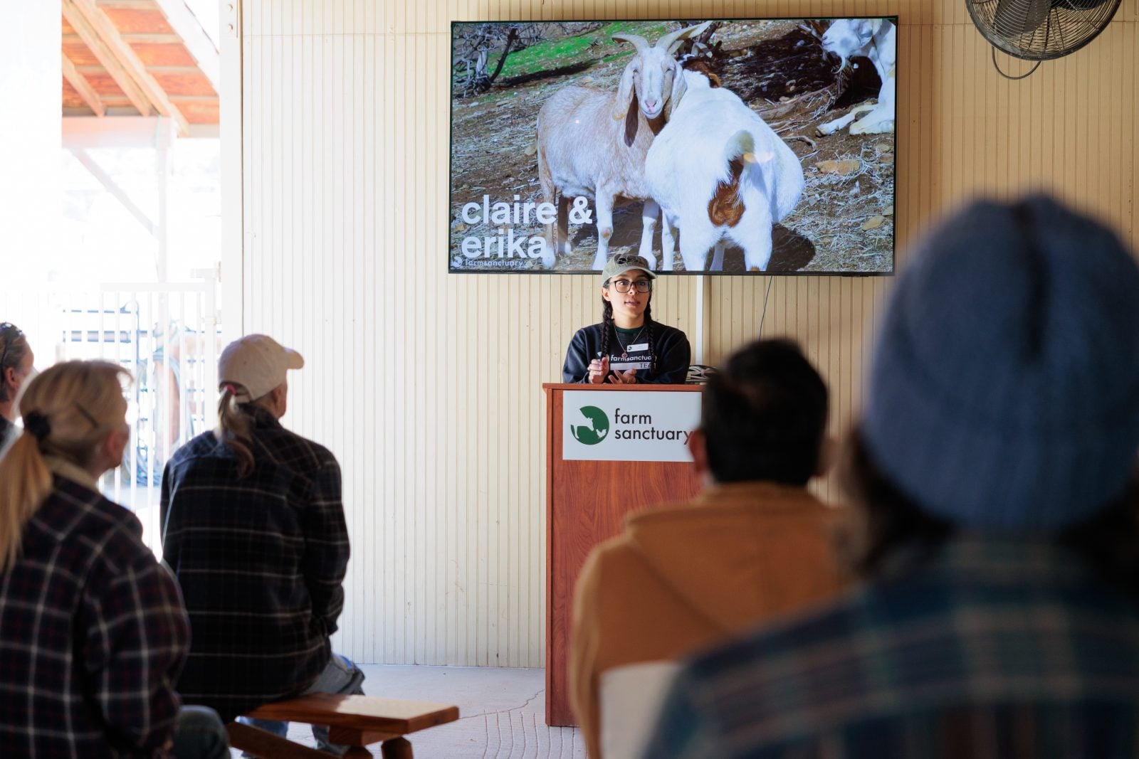 Five people in foreground sitting on benches listening to a Farm Sanctuary staff member's presentation, in front of a screen showing rescued goats Claire and Erika