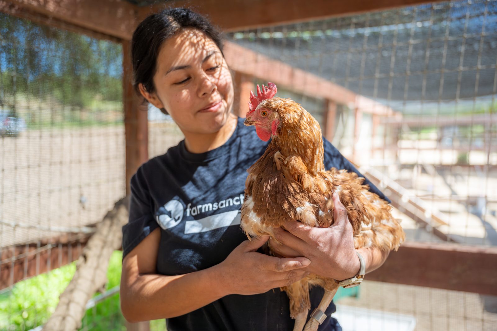 Farm Sanctuary staff Jenni holds rescued hen Alicia