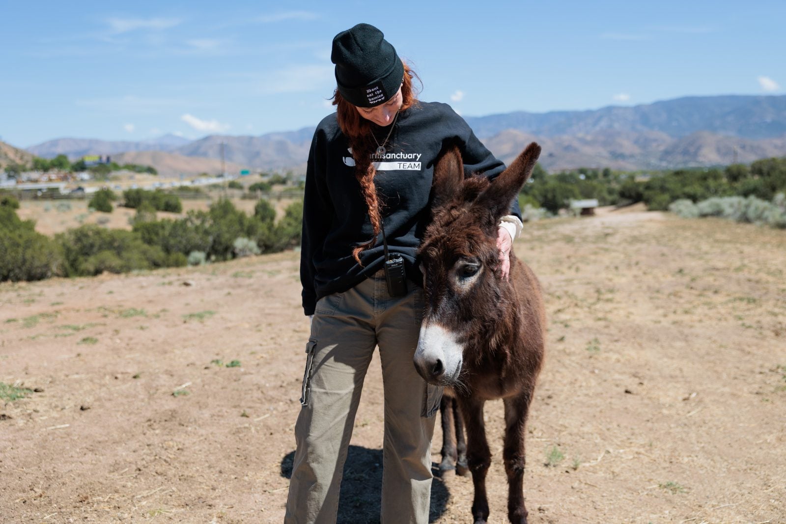 Farm Sanctuary staff Veronika hugs rescue donkey Hope as they walk side by side