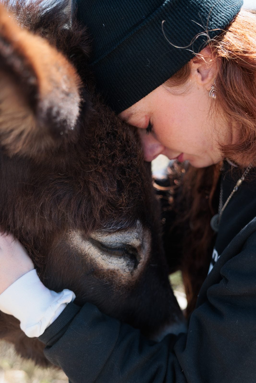 Rescue donkey Hope and Farm Sanctuary staff Veronika gently press their heads together in a hug