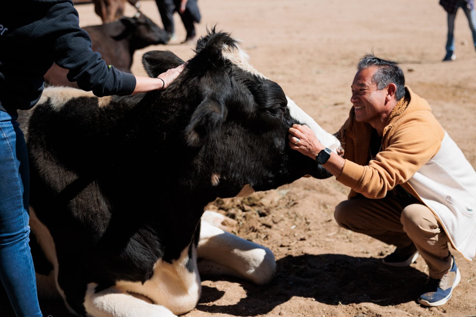 Two visitors pet Omi cow