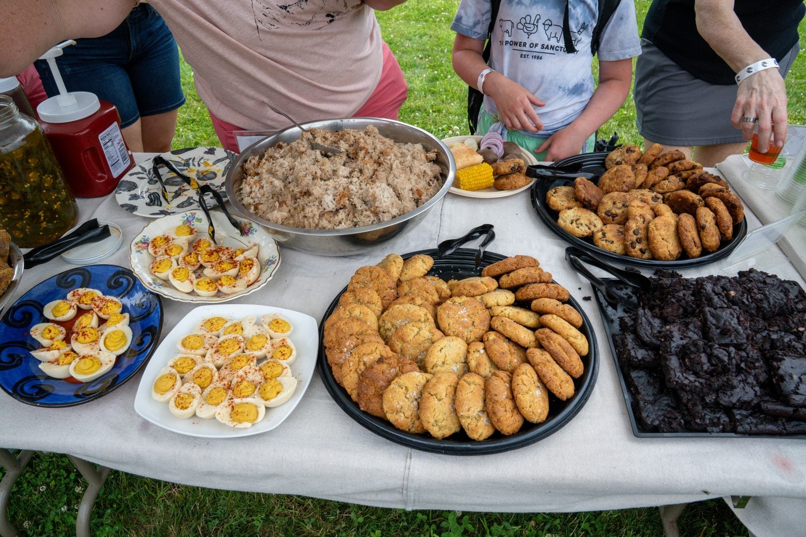 An assortment of plated vegan food at Farm Sanctuary's summer Pignic event, including vegan deviled eggs and cookies