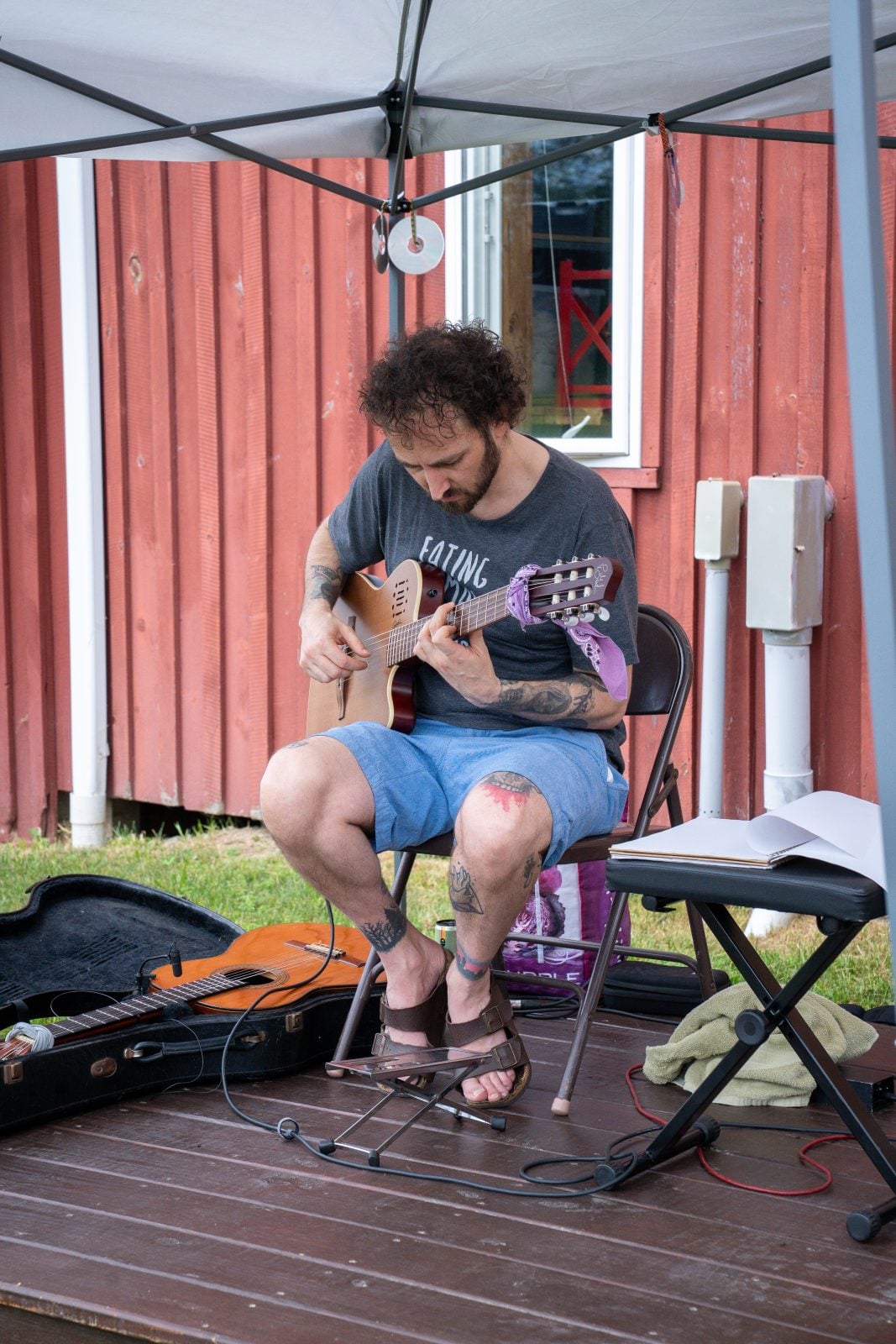 Musician Mike Deall plays guitar at Farm Sanctuary's summer Pignic event