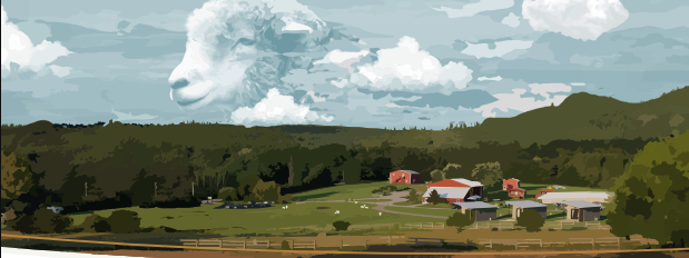 Test Banner