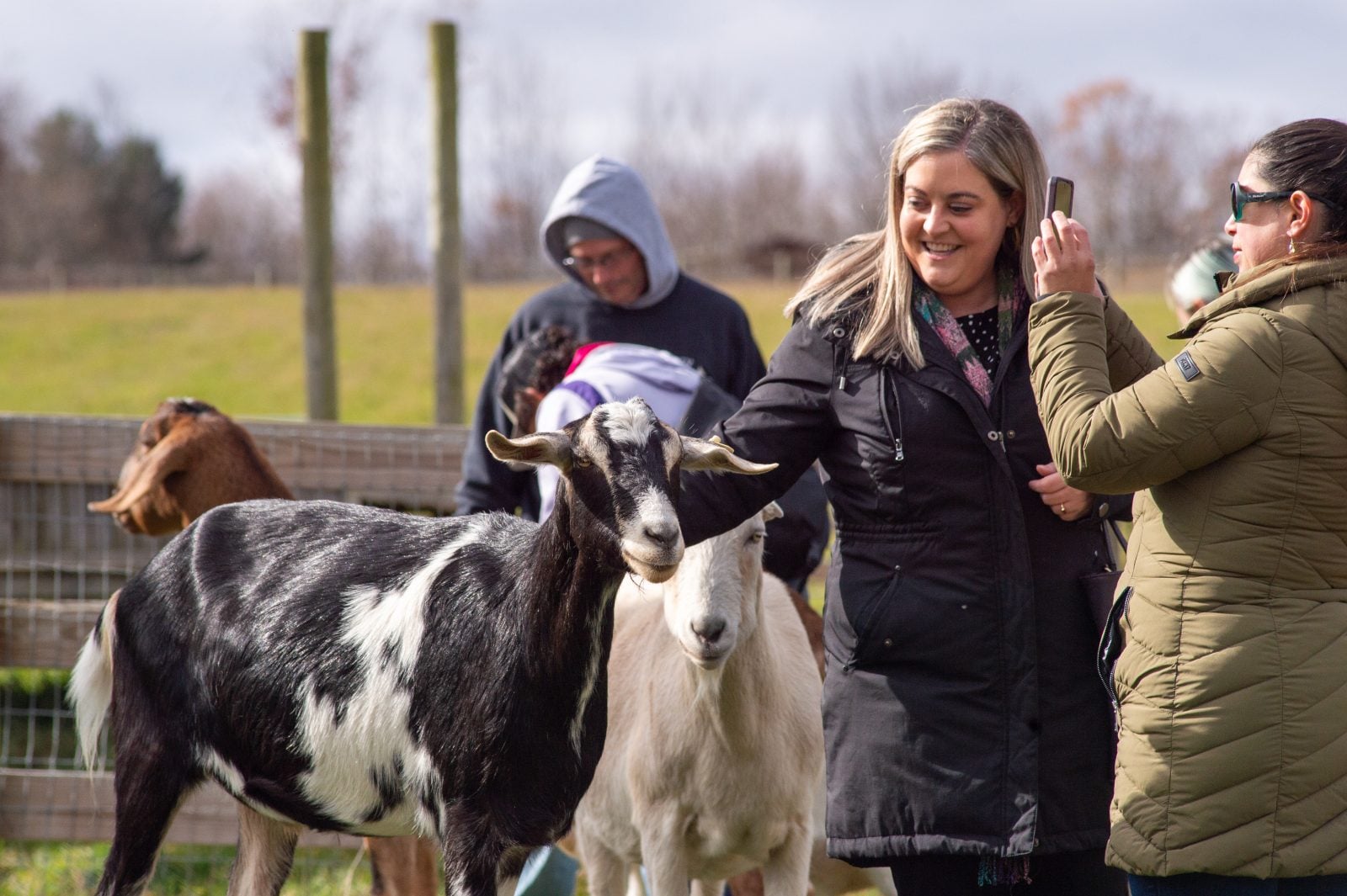 Guests taking photo with rescue goat at Farm Sanctuary