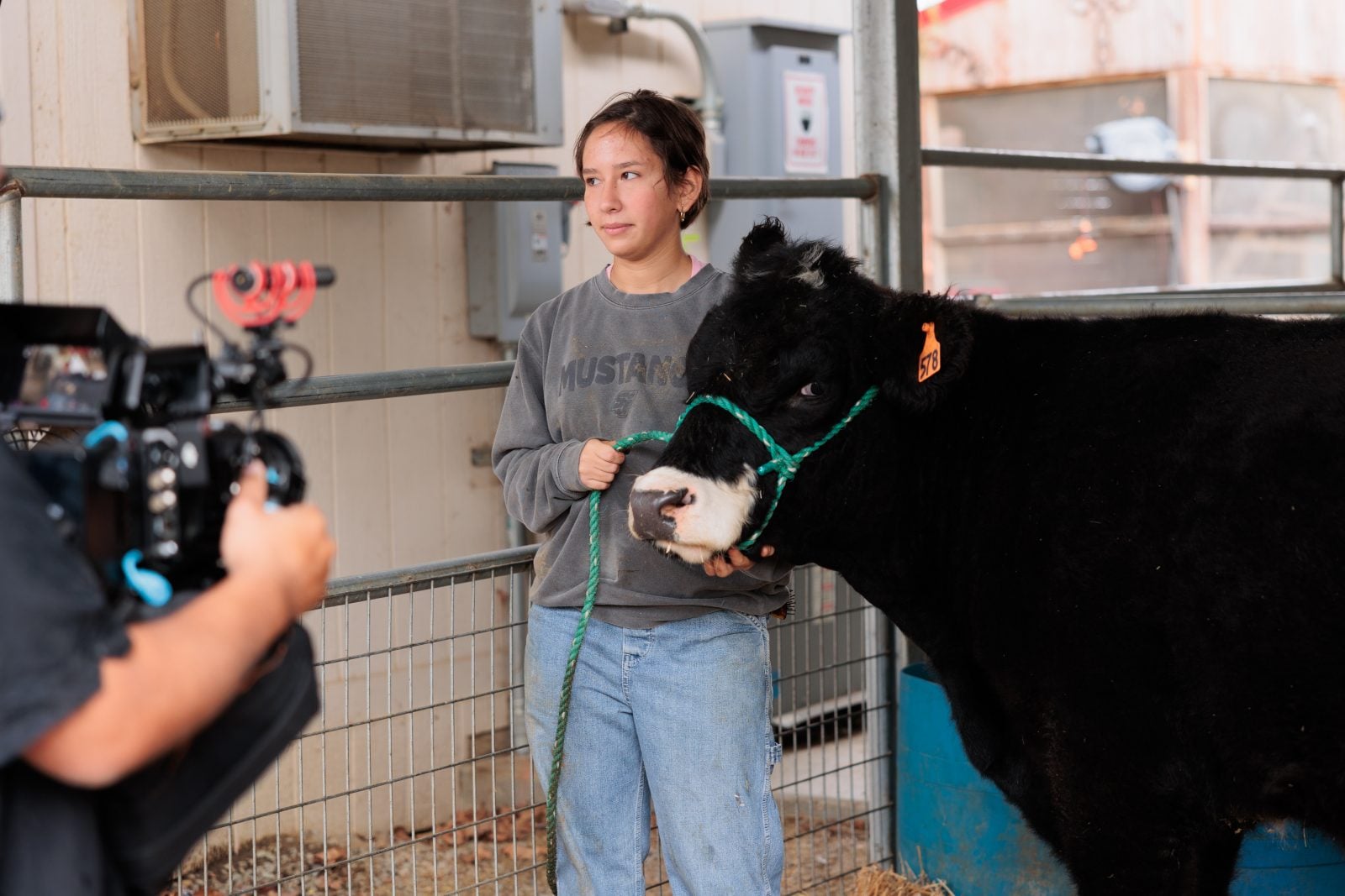 Student talks to camera while holding calf Pepper by leash after his rescue