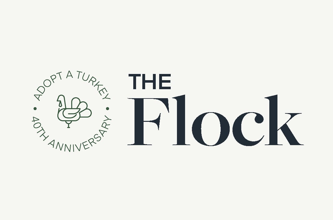 The Flock